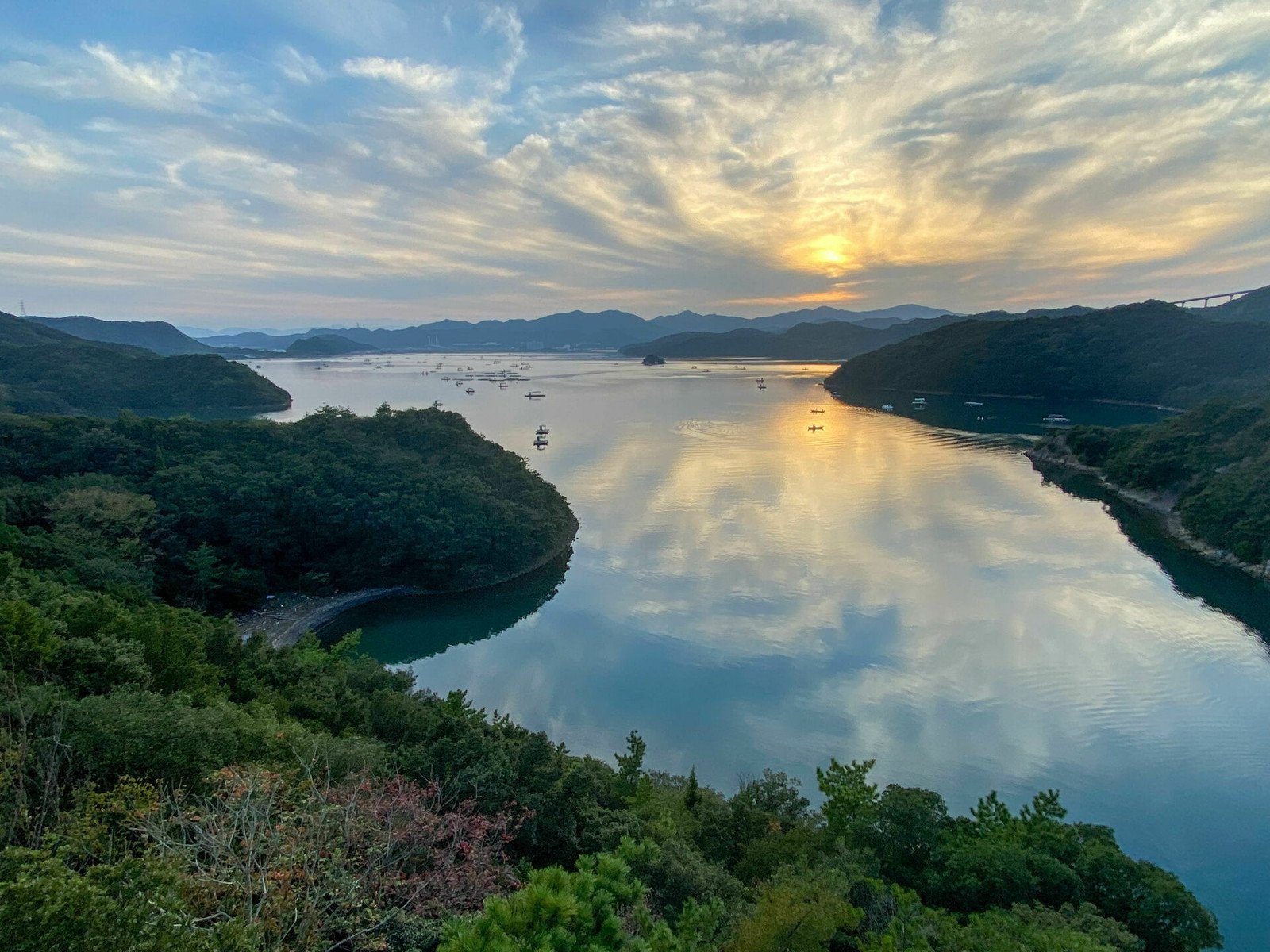 🏞️ 나루토 우치노우미 종합공원(나루토 우치노우미 소고코엔) 이미지 6
